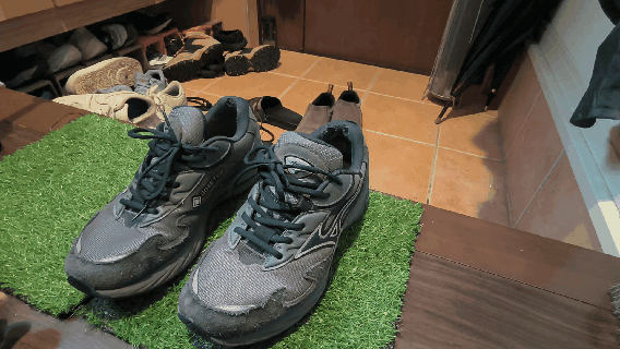 Wave_Rider_β-removed-shoelace