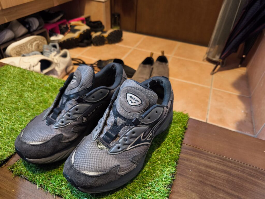 Wave_Rider_β-removed-shoelace-2