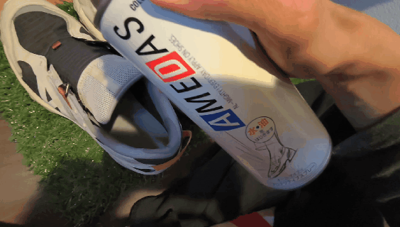 WAVE-MUJIN-TL-amedas