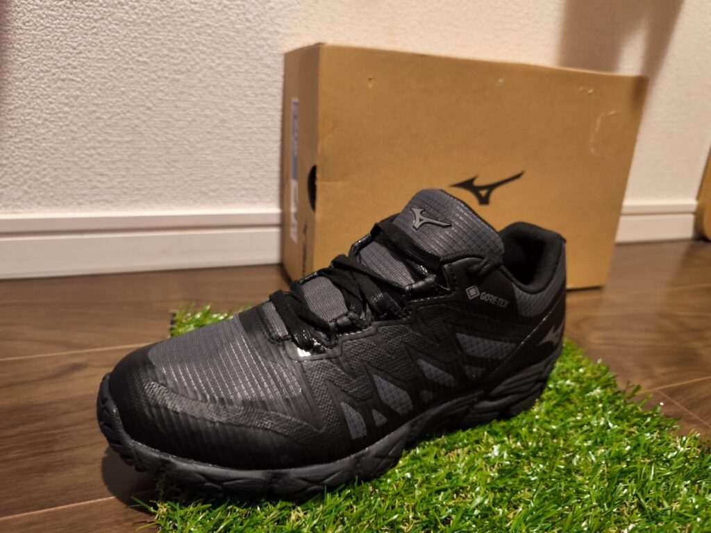 Wave-Gazelle-3-GTX
-flat-shoelace-waxed